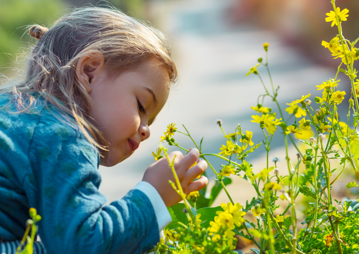 Atlanta Botanical Garden Safety: What You Need to Know